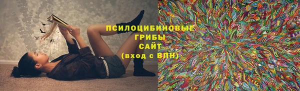 прущие крисы Алексеевка