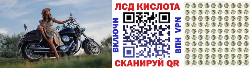 где найти   Дыгулыбгей  Марки N-bome 1,8мг 